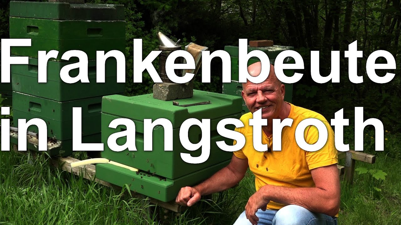 Franken-Beute Langstroth: Pflege des Jungvolkes in der Holtermann-Beute (s. Bezugsquelle)