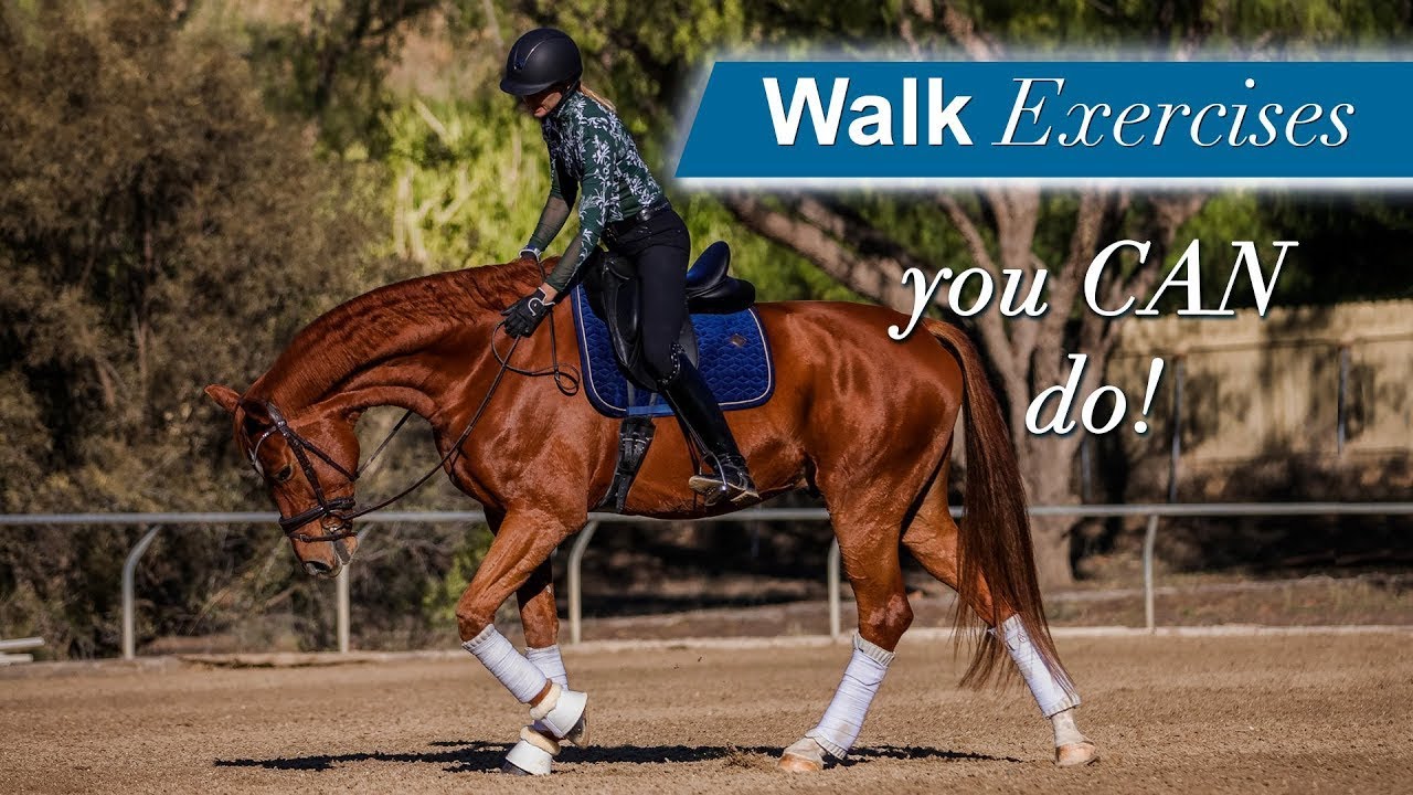 Three Walk Exercises to Warm-Up Your Horse