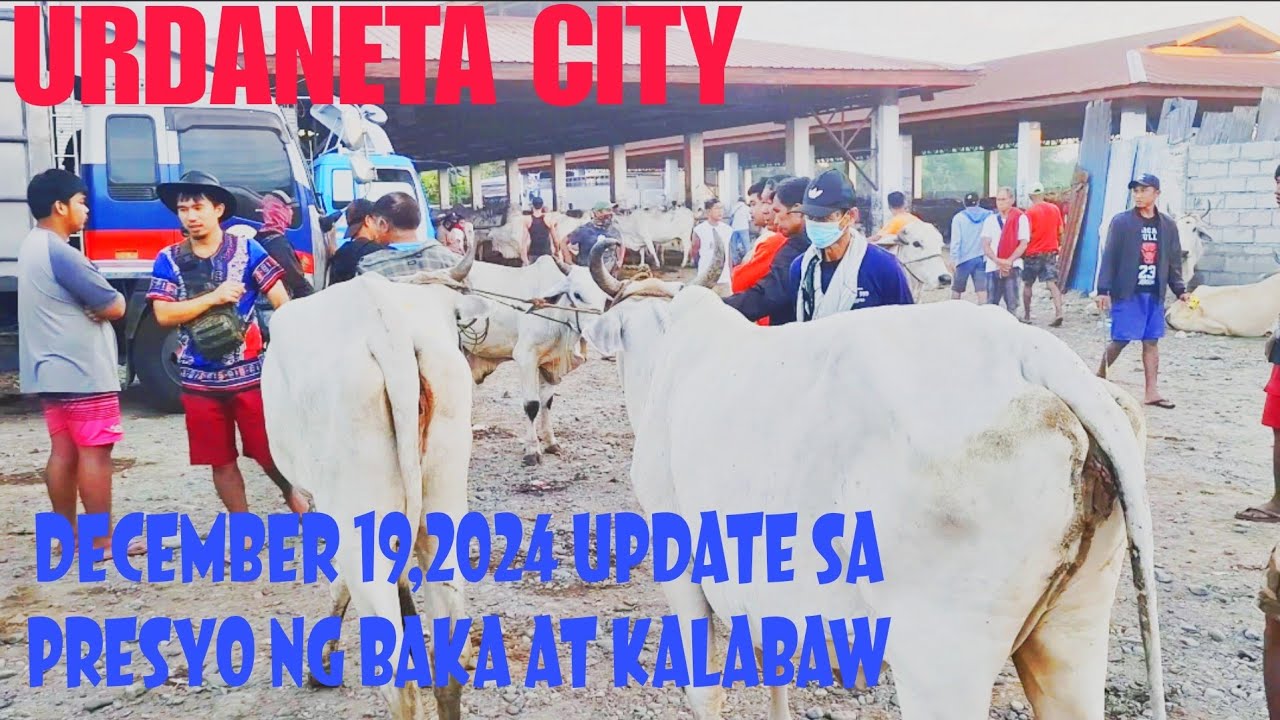 January 19,2025 Update sa Presyo ng Baka at Kalabaw sa Urdaneta City Livestock Market