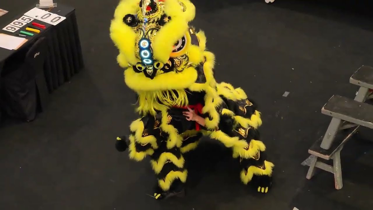 Selangor Xuan Long 雪蘭莪玄龍體育會 @ 2024 第二屆《師承杯》國際獅王争霸賽 2024 FELLOWSHIP CUP Lion Dance