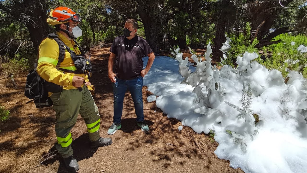 Verano en riesgo alto: De prácticas con los bomberos forestales