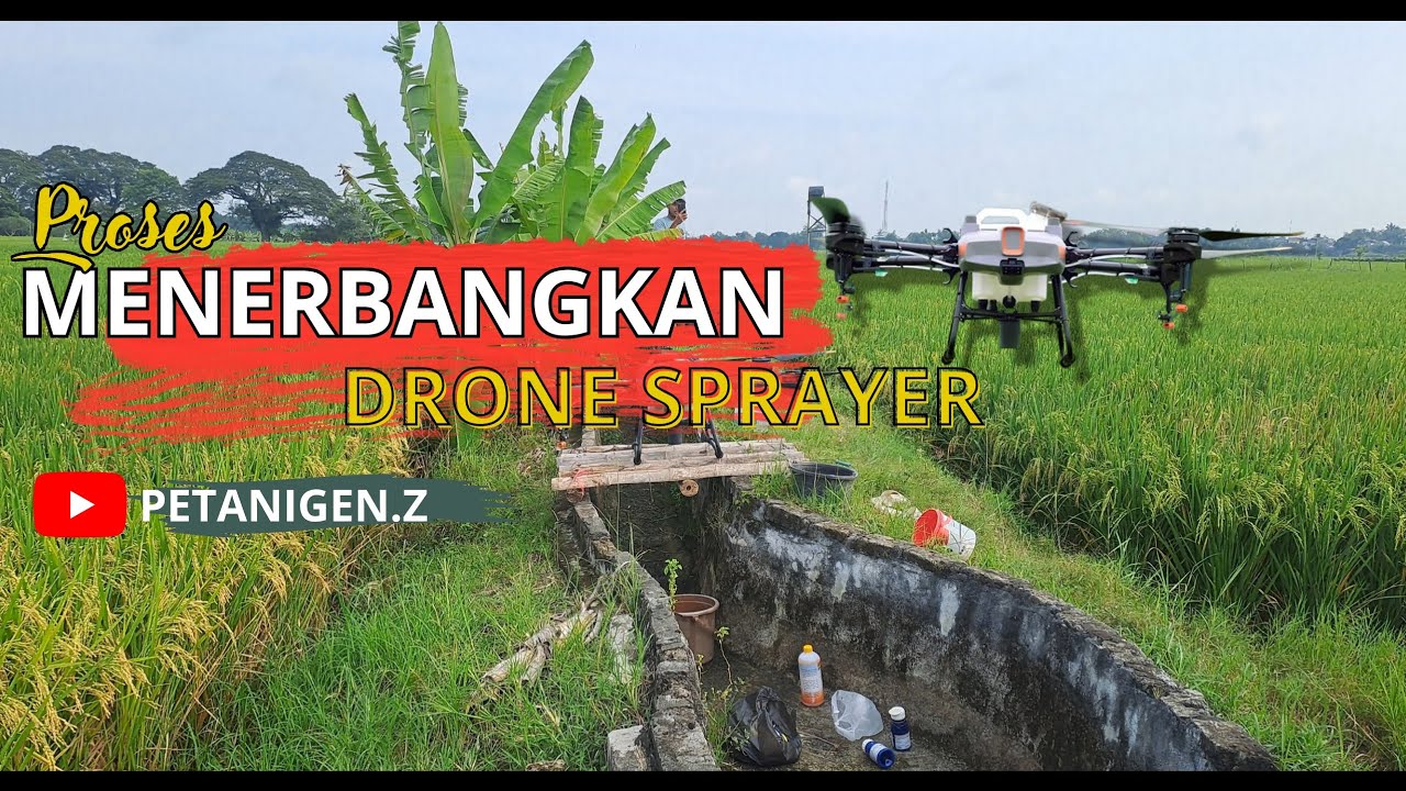 Menerbangkan Drone Sprayer Pertanian DJI Agras T10