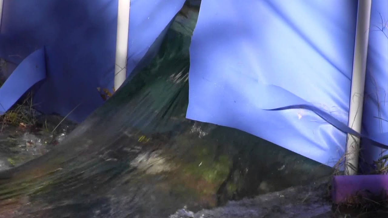 Slicing Open Our Pool - Quick Version - One min 45 seconds - Hopefully Popular, Amusing, and Viral