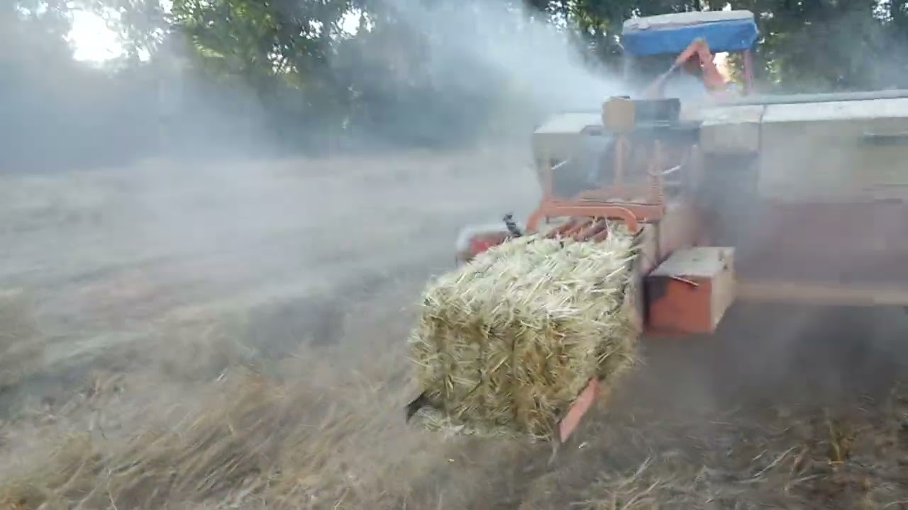 yulaf balyası yapımı.  170 balya çıktı ağırlık 20 25 kg