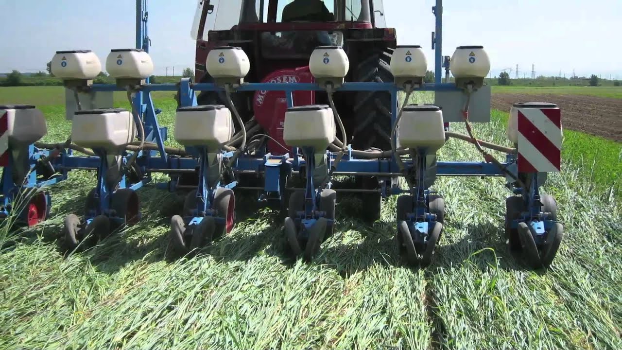 TILMAN-ORG: Reduced tillage and green manures (project description, Nov. 2011)