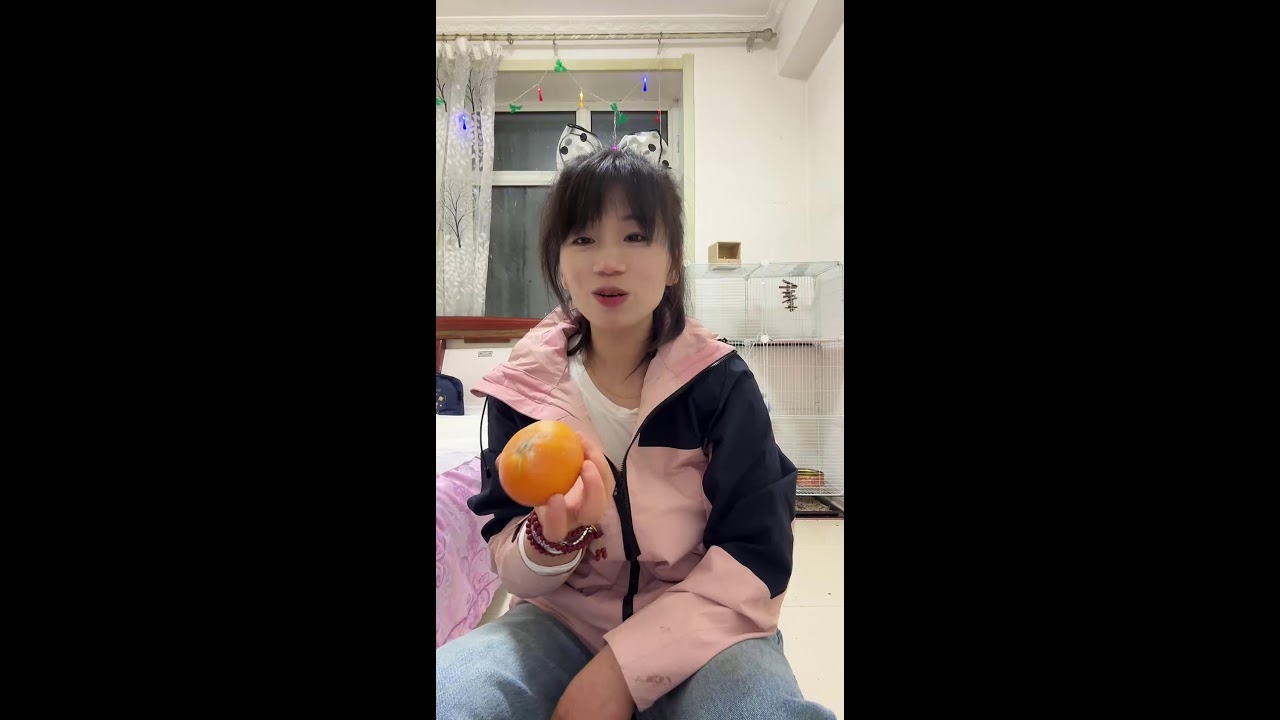 Winter Forest Live｜Feeding Wild Squirrels with Live Narration 🐿️🌲