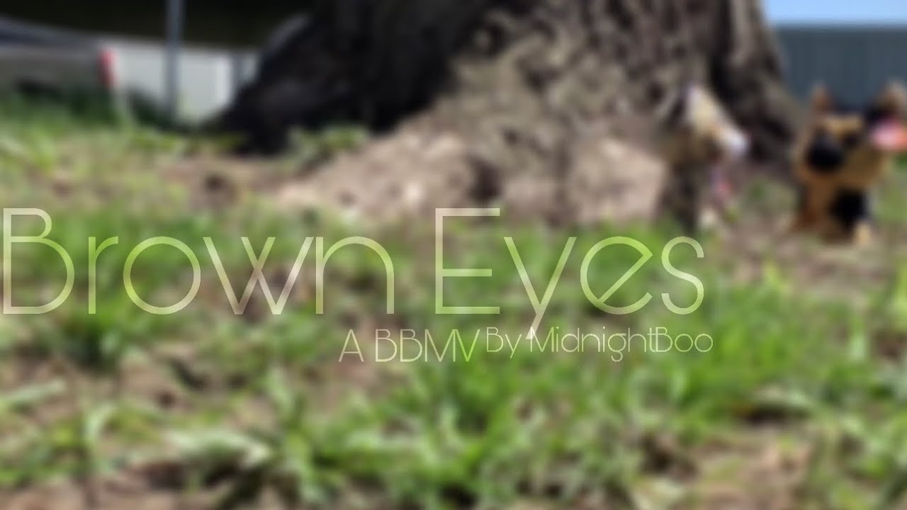 BBMV: Brown Eyes | MidnightBoo