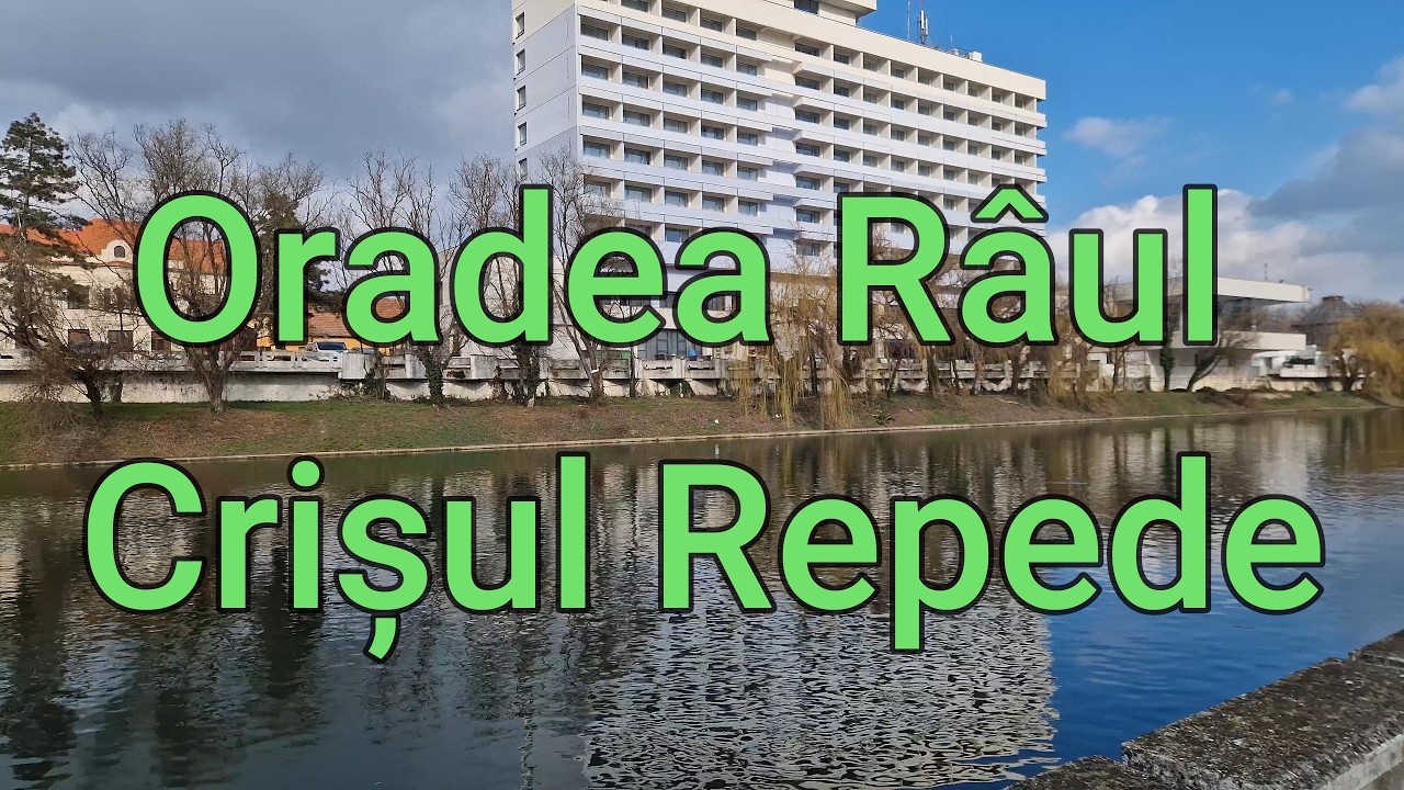 Râul Crișul Repede Oradea feb.2026 de la Pod Dacia in sus pe malul sting