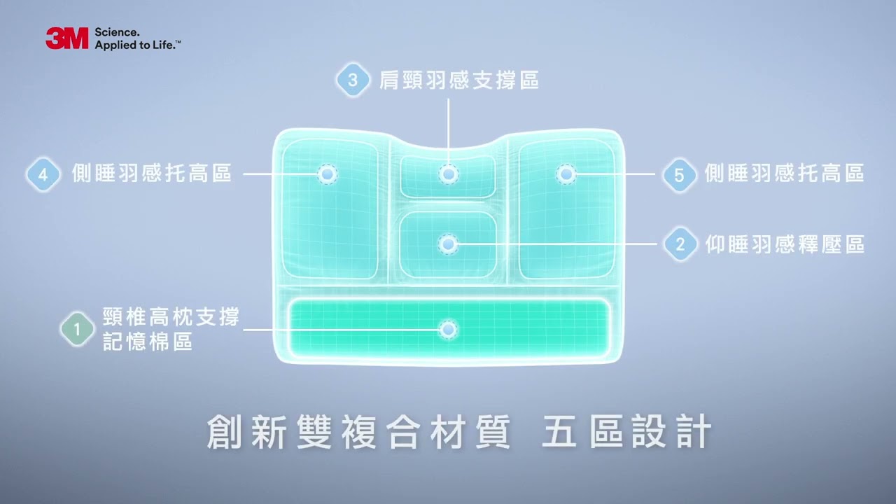 3M Filtrete 防蟎可水洗科技羽絨枕系列 30s
