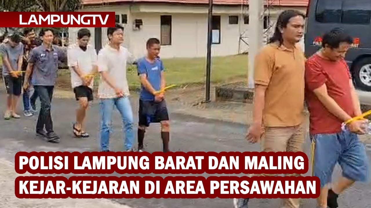 Polisi Lampung Barat dan Maling Kejar-kejaran di Persawahan
