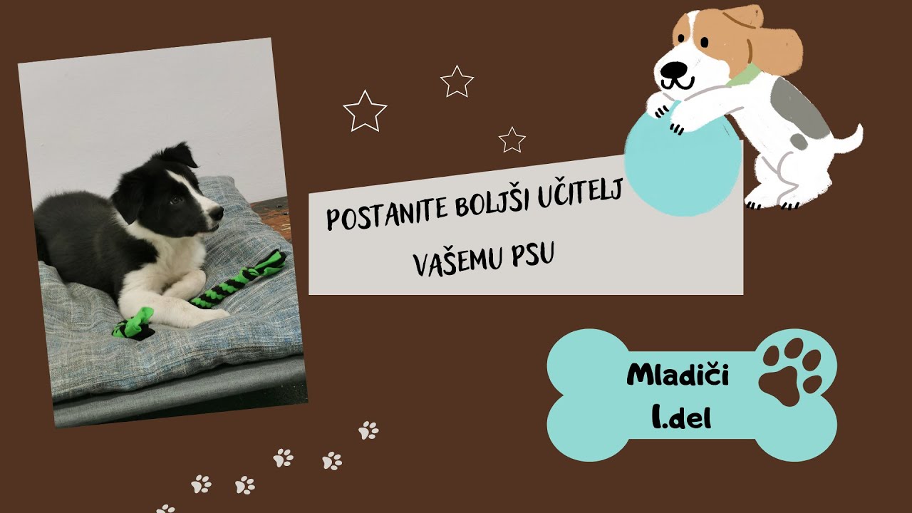 Vzgoja mladiča - 1. del