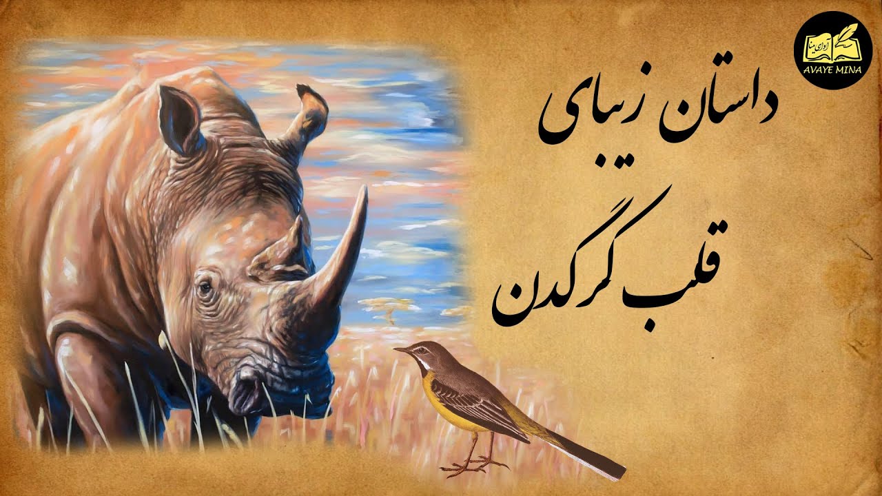 داستان بسیار زیبای قلب کرگدن