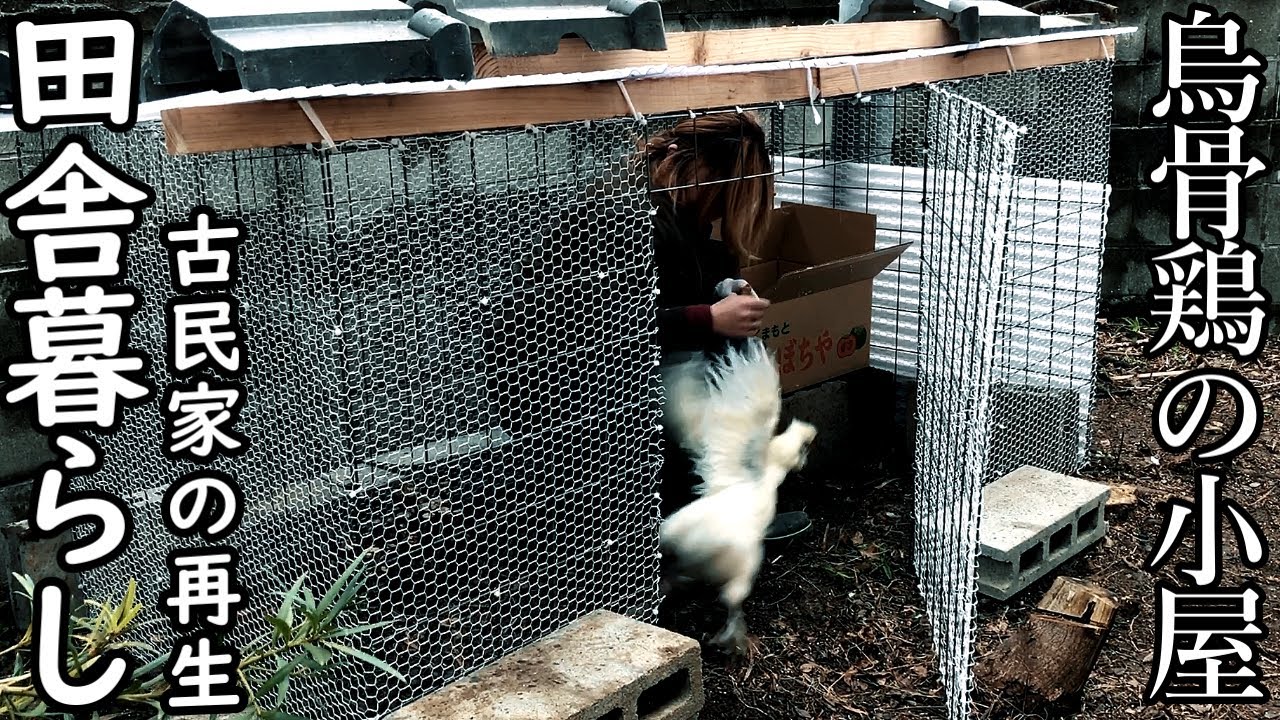 古民家で暮らす 初めてのにわとり小屋を簡単DIY！烏骨鶏｜ガレージと井戸のある古屋