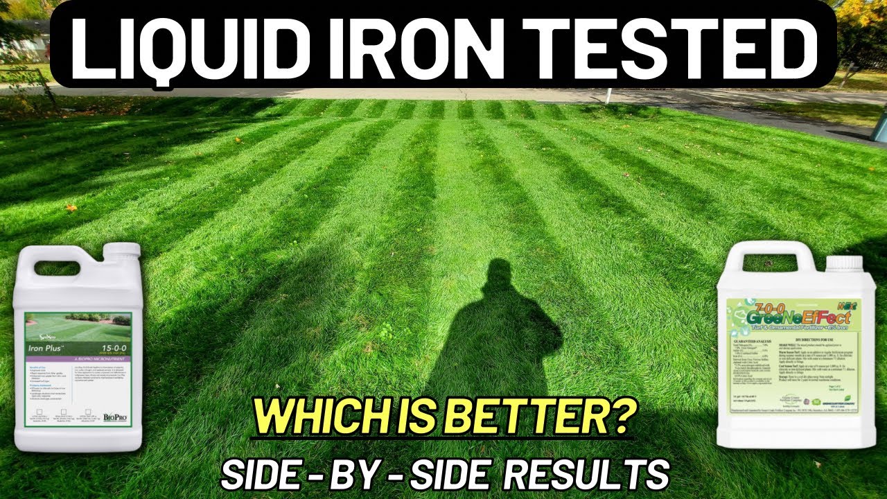 Я протестировал 2 продукта Liquid Iron (бок о бок)