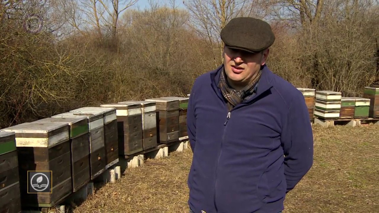 M5 Lexikon   Kék bolygó Bioméhészet