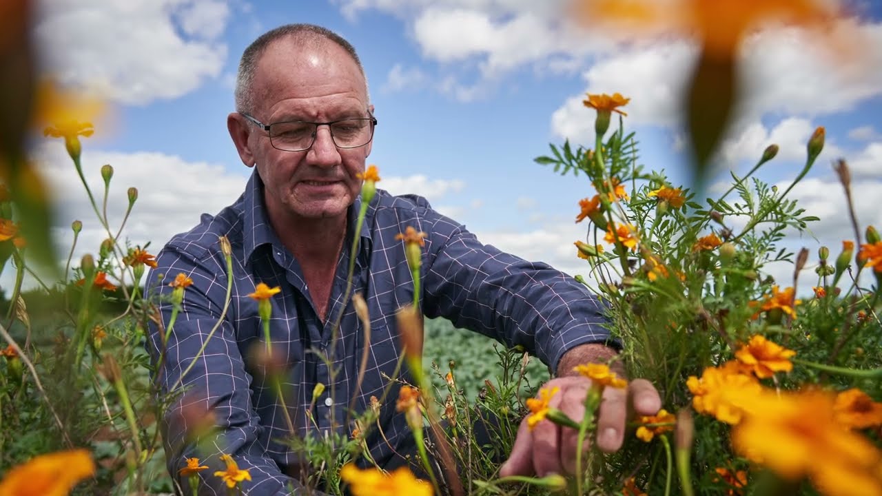 A Lighter Touch IPM series - What is IPM?