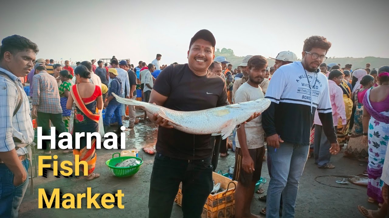 Harnai Fish Market - Auction 🦐 | हर्णे फिश मार्केटमधील मासे लिलाव - Harnai, Dapoli (Konkan)