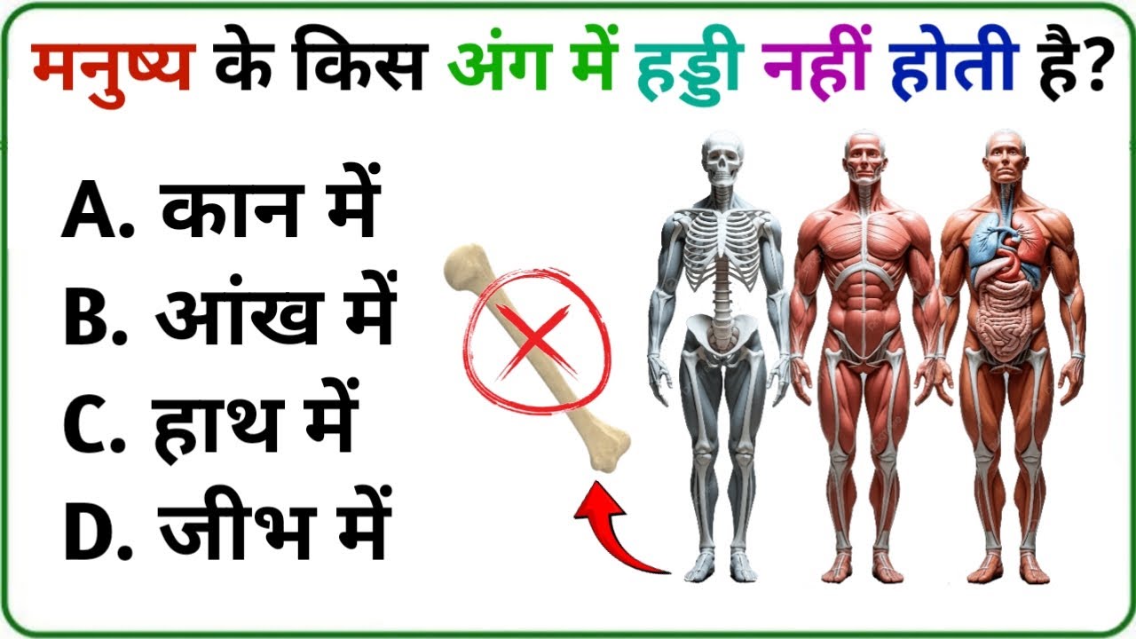 gk questions।। general knowledge answers 😱 gk questions in hindi ll gk questions our answers #gk