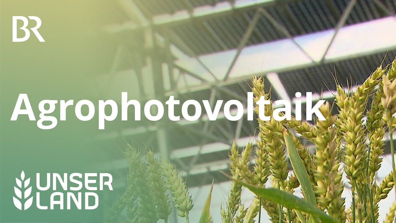 Agrophotovoltaik: Getreide und Sonnenstrom vom Acker | Unser Land | BR Fernsehen
