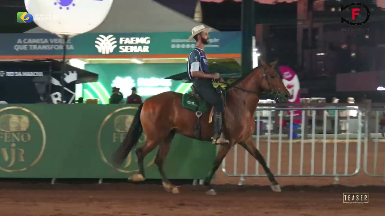 JÓIA RARA DA DONA FLOR - 45ª NACIONAL DO CAVALO CAMPOLINA 2025