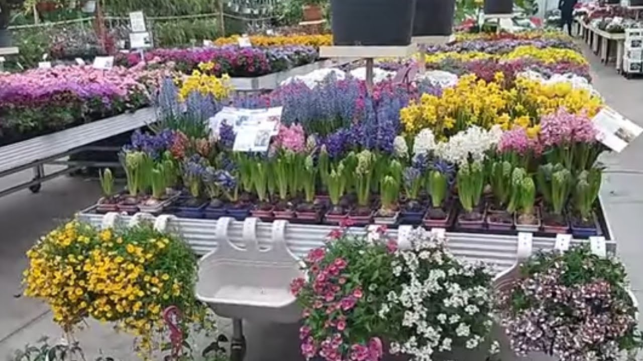 Bahçe Market Geziyoruz | Mevsimlik Çiçekler Süper | @yalovabahcemarket