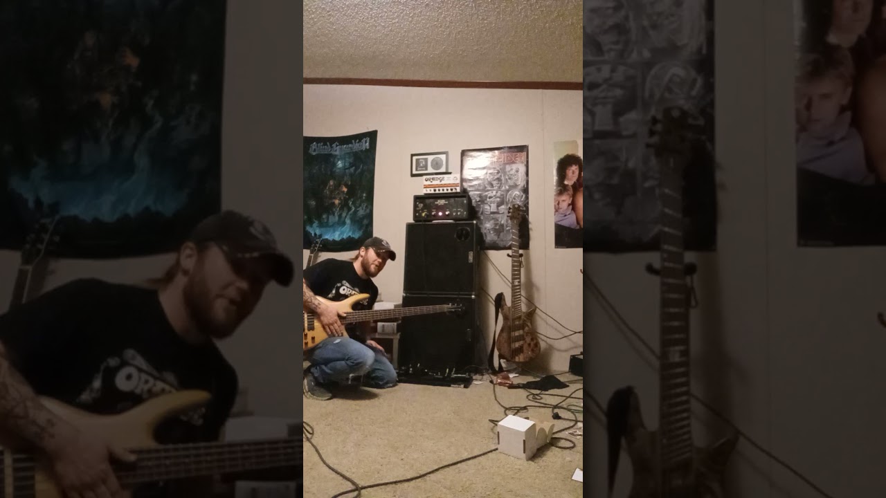 ProCo lil Rat distortion pedal on bass