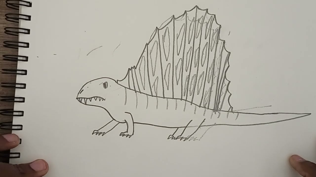 How to draw a Dimetrodon.(Permian carnivore)