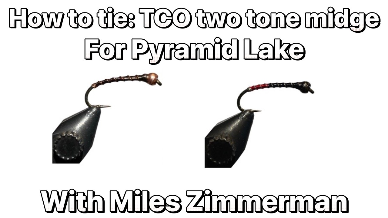 Miles Zimmerman tying TCO's two-tone midge in copper wino