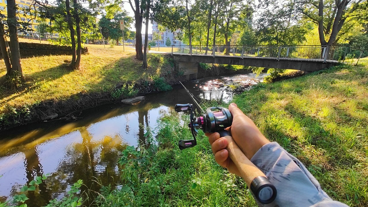 BFS Street Fishing in Prague -  Urban Creek Adventure