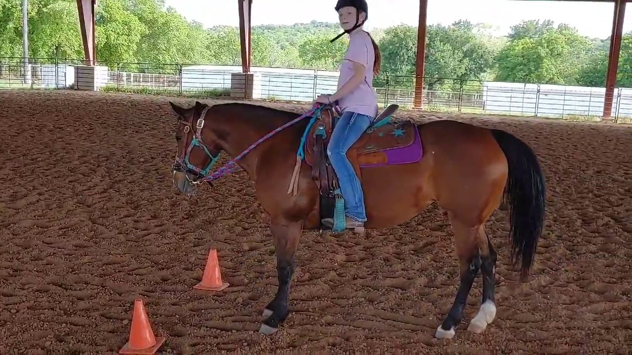 Basic Western Riding Pattern using a turn around box and cones