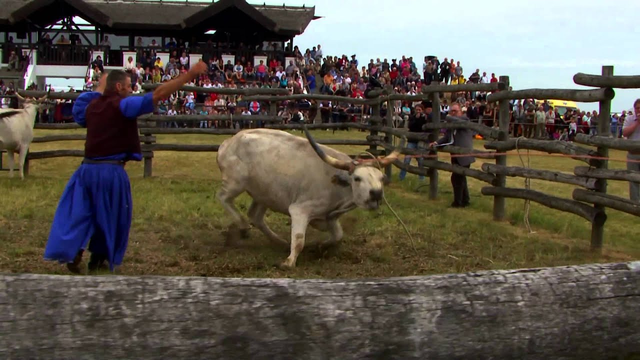 Országos Gulyásverseny és Pásztortalálkozó 2011 - Hortobágy