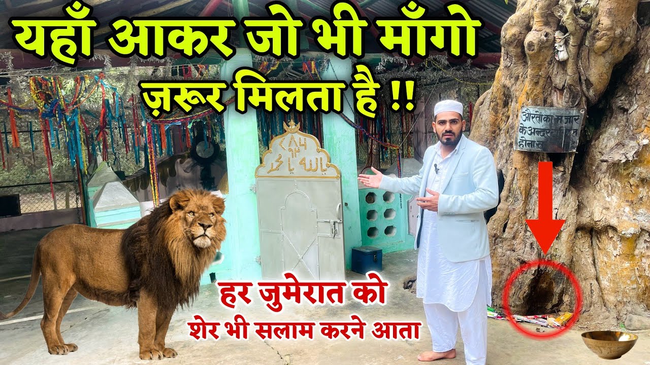 Hazrat Najju Shah Miyan का आस्ताना - हर जुमेरात को शेर यहाँ सलाम करने आता है | Live Wazifa