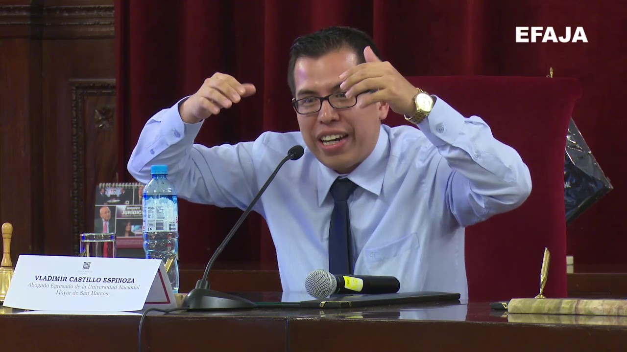 2019.01.25 Conferencia: Argumentación Jurídica y Constitucionalización del Derecho