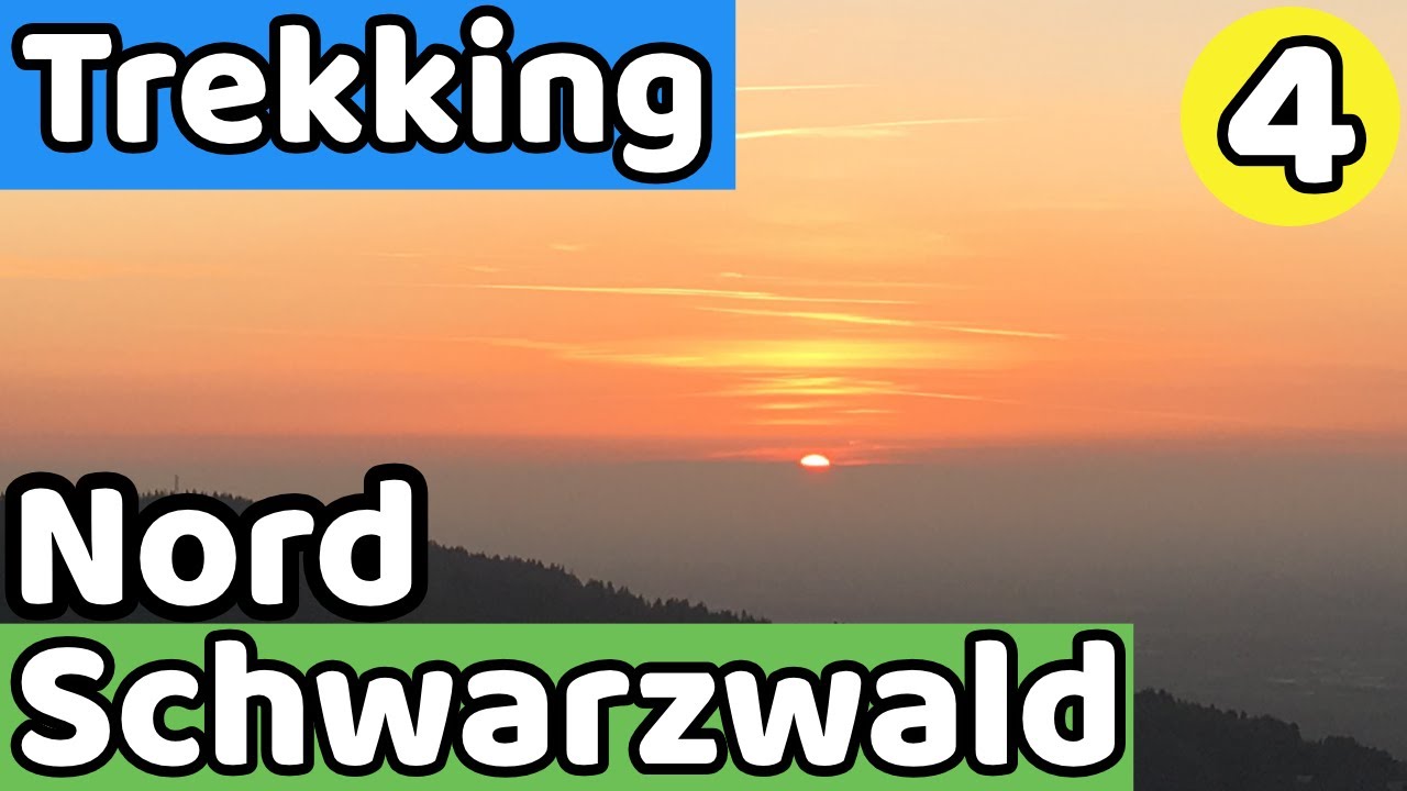 Overnighter im Nordschwarzwald #4 | Schutzhütte | Lager