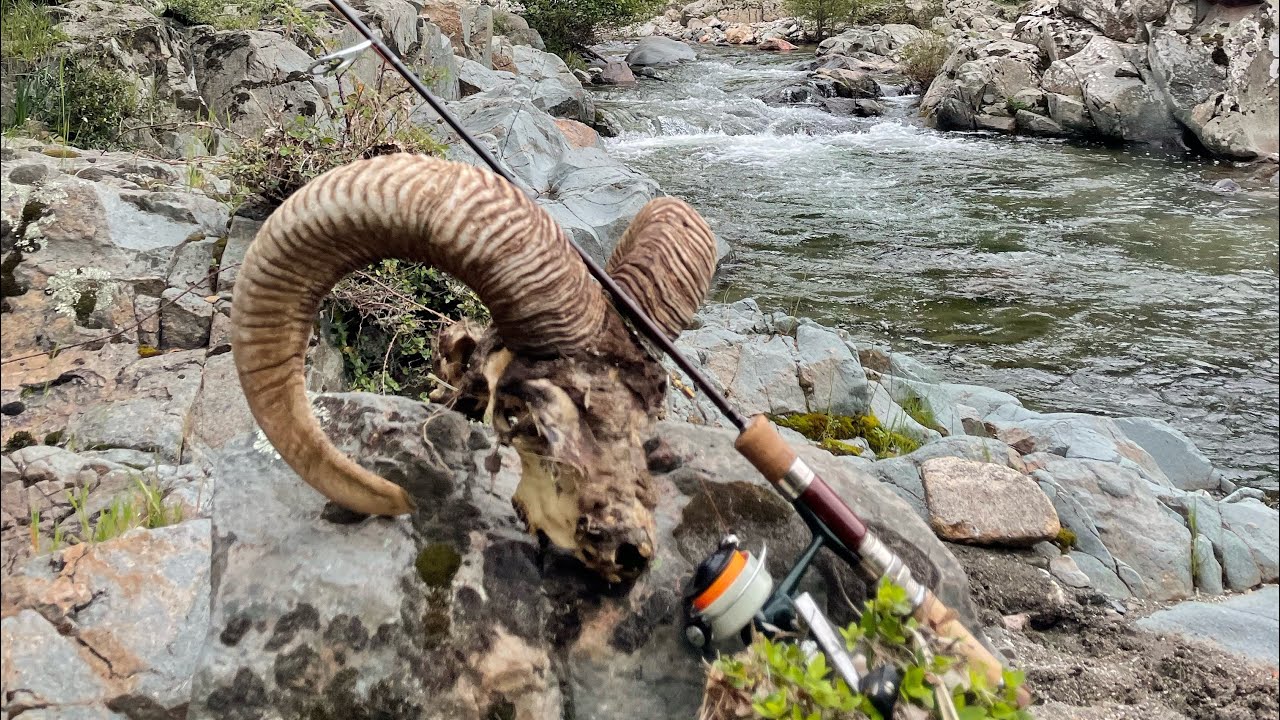 Pesca alla Trota sul Gennargentu. Sardegna 2025