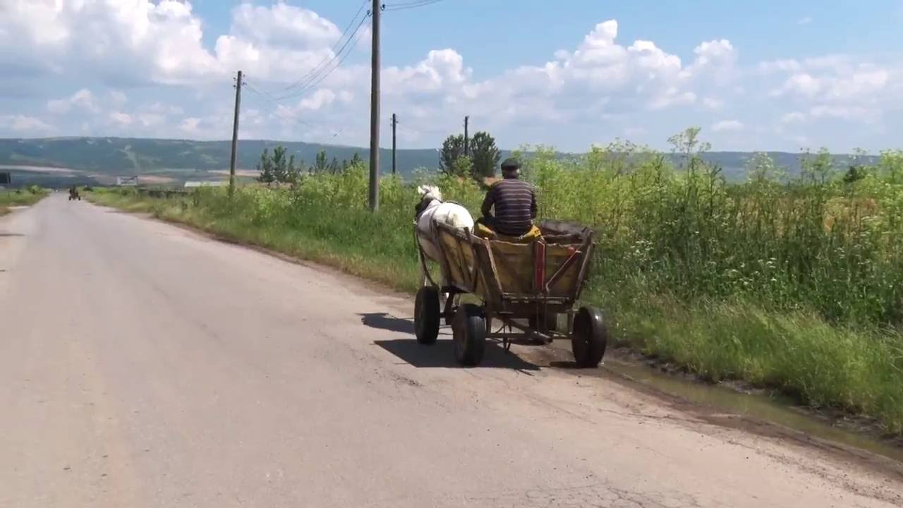Полска охрана създават в Стралджа