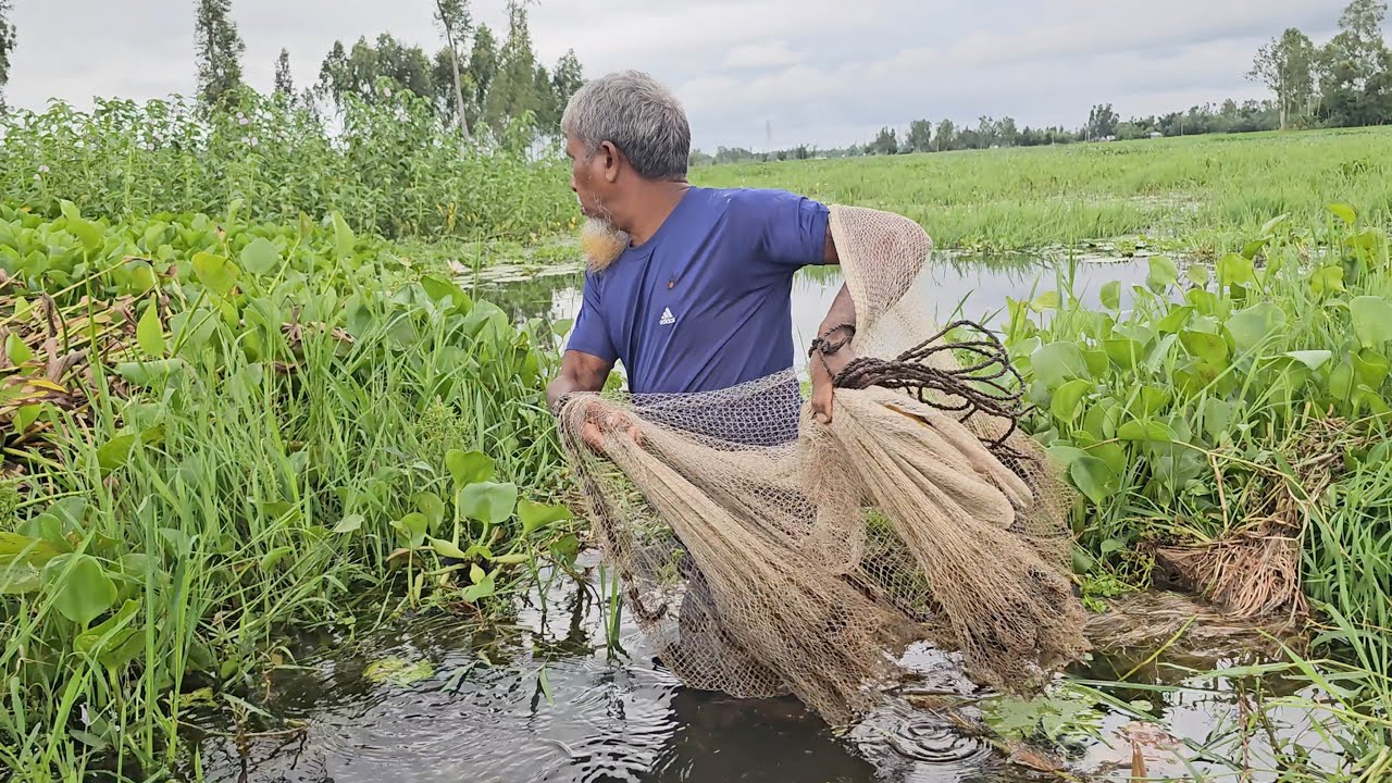 Traditional Cast Net Fishing - Amazing net fishing with beautiful nature