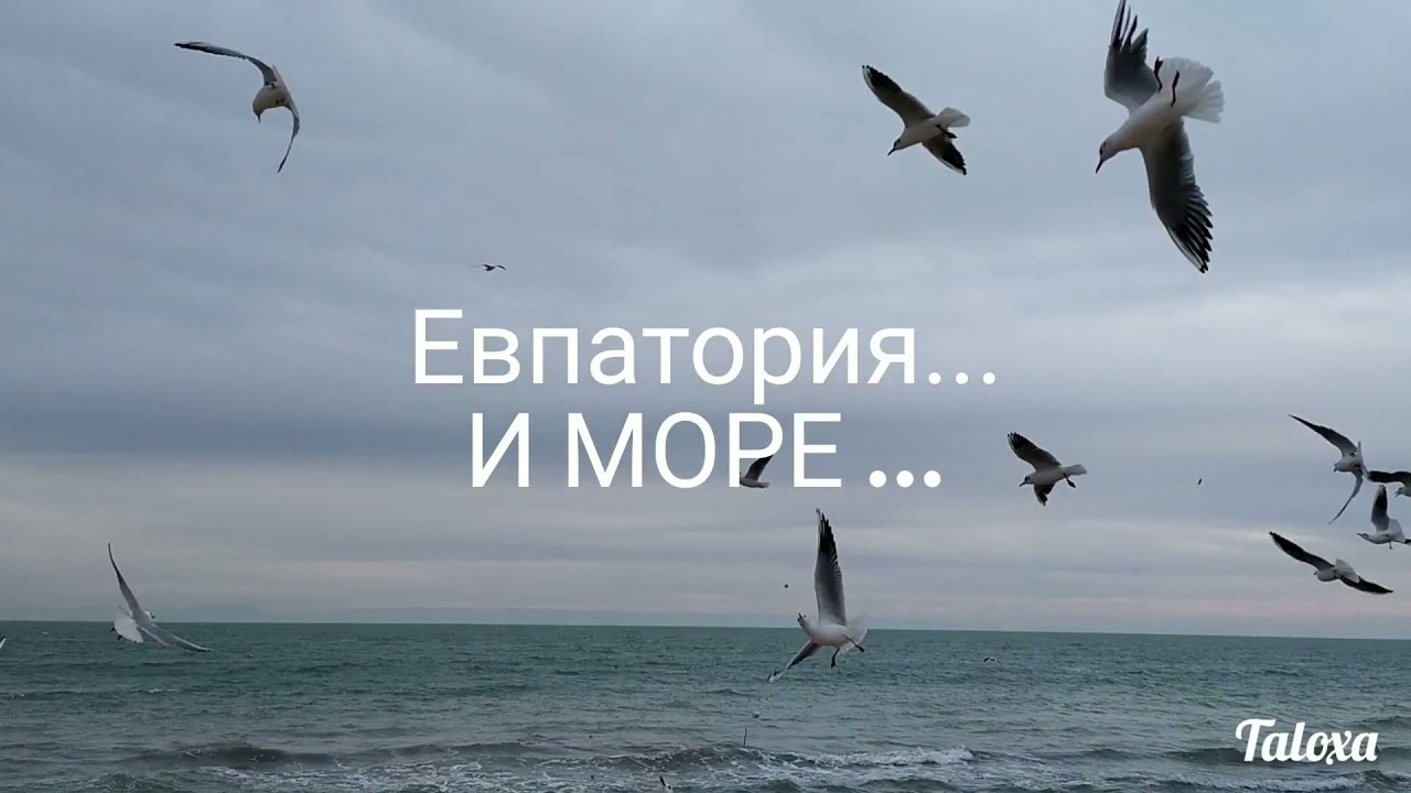 Саки -Евпатория гуляем, шалим, кайфуем #вгостяхкакдома#крымзимой