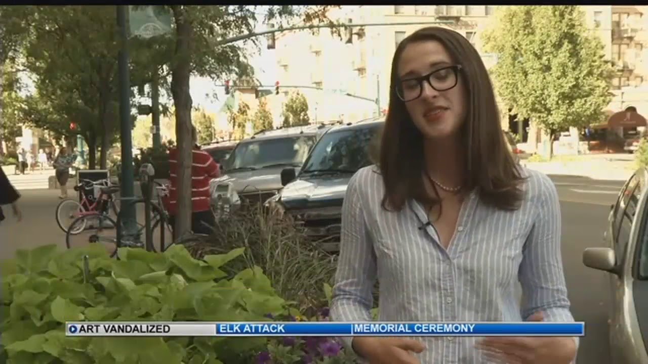 Group caught on camera vandalizing downtown Colorado Springs art