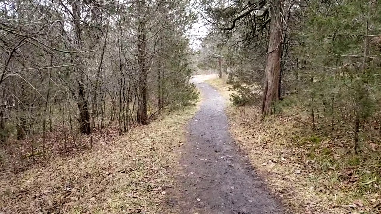 Walking in Massassauga Point Ontario