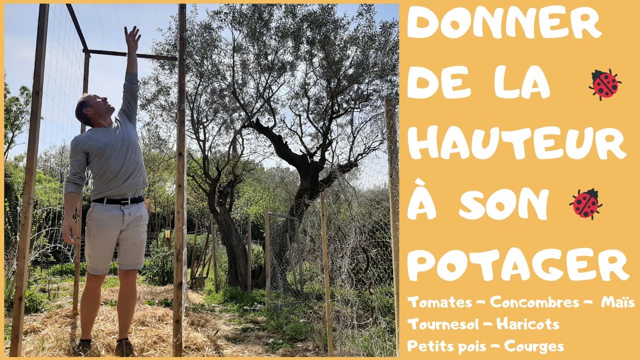 🐞 Donner de la hauteur à son potager - Bien tuteurer ses tomates # 2020