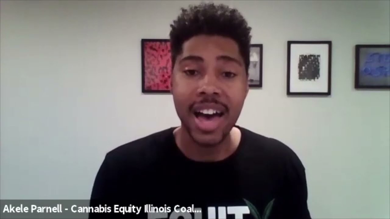 CANNABIS EQUITY ILLINOIS COALITION PRESENTS:Cannabis Legalization Nationwide Roundtable!