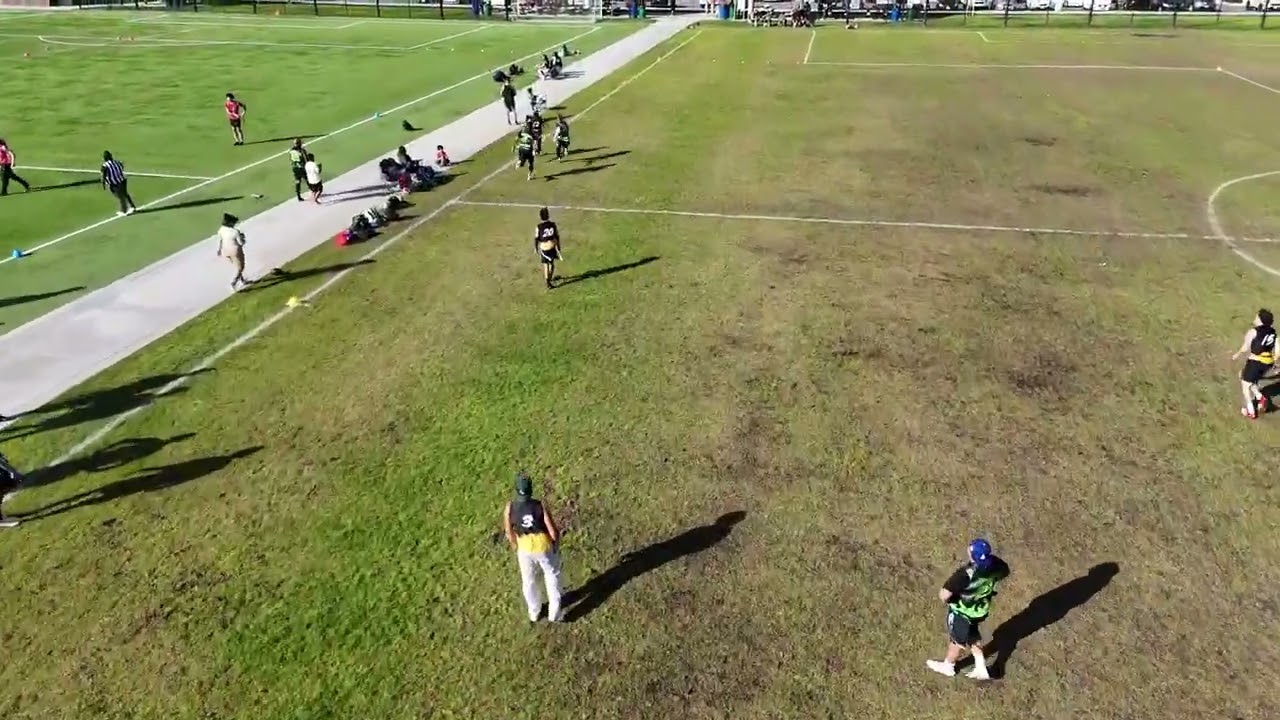 Vipers vs Kingdom