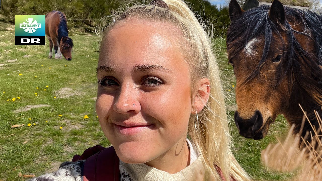 Er vilde heste dyrplageri? | Tid til Eid!