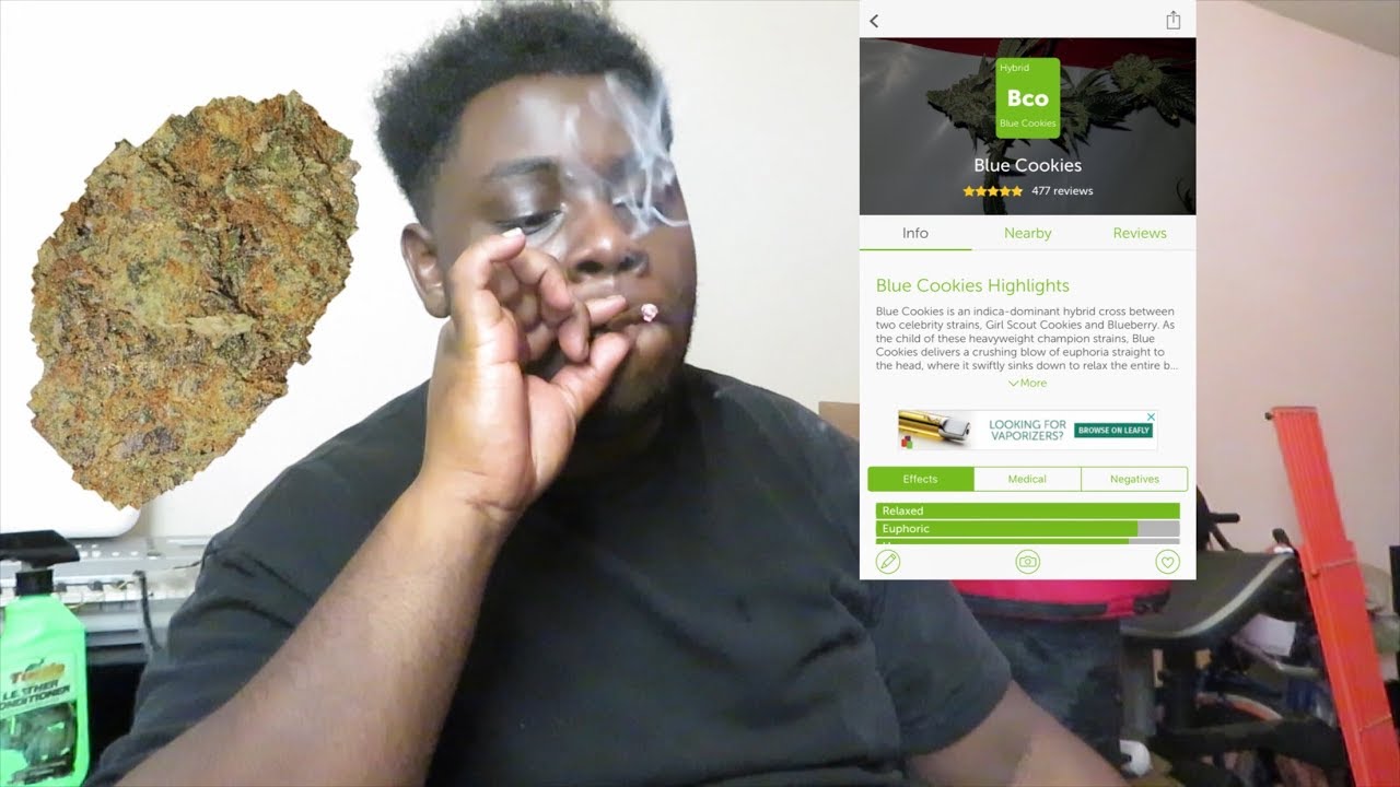 Blue Cookies | Strain Review