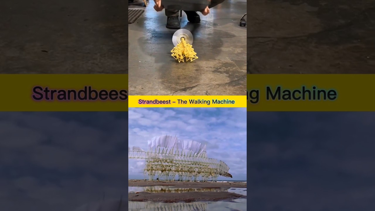 Strandbeest &ndash; The Walking Machine That Comes Alive with Wind | Theo Jansen&rsquo;s Kinetic Art #theojansen