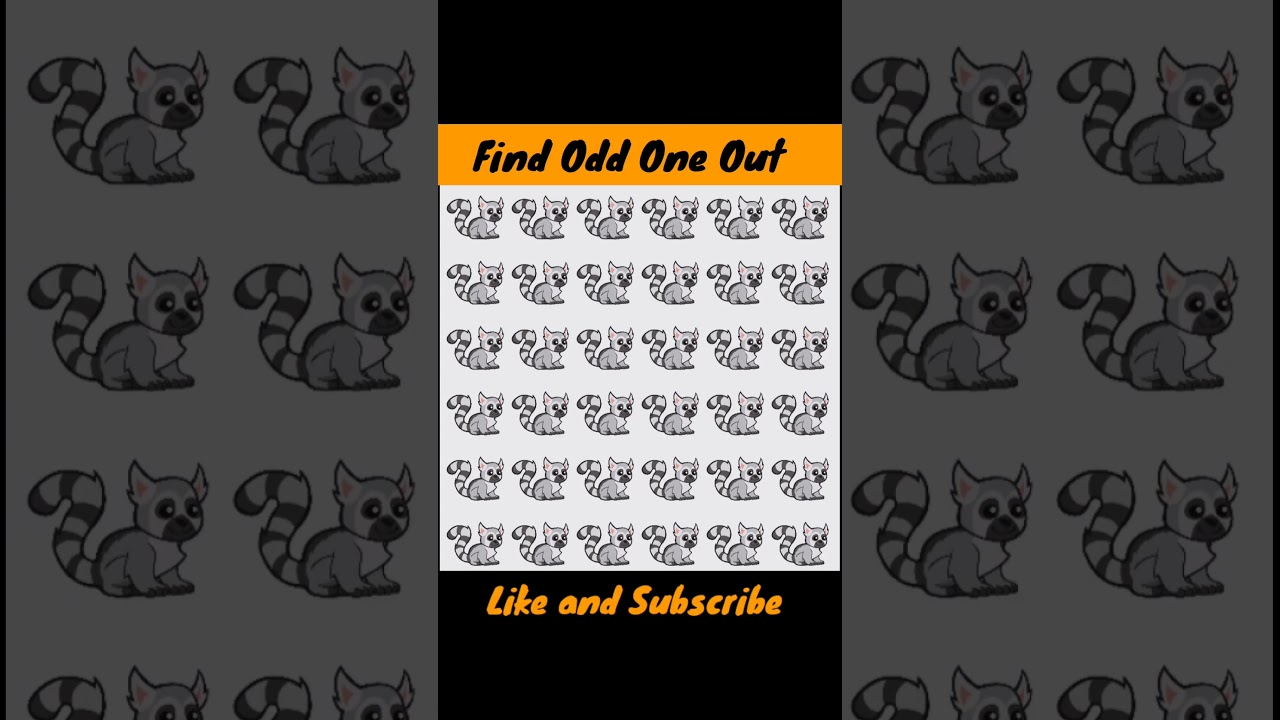 Find Odd One Out 42 || PUZZLE CORNER #shorts