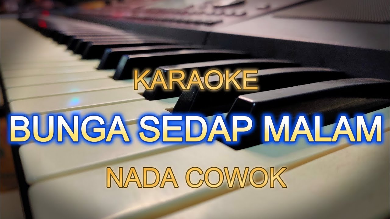 BUNGA SEDAP MALAM KARAOKE NADA COWOK
