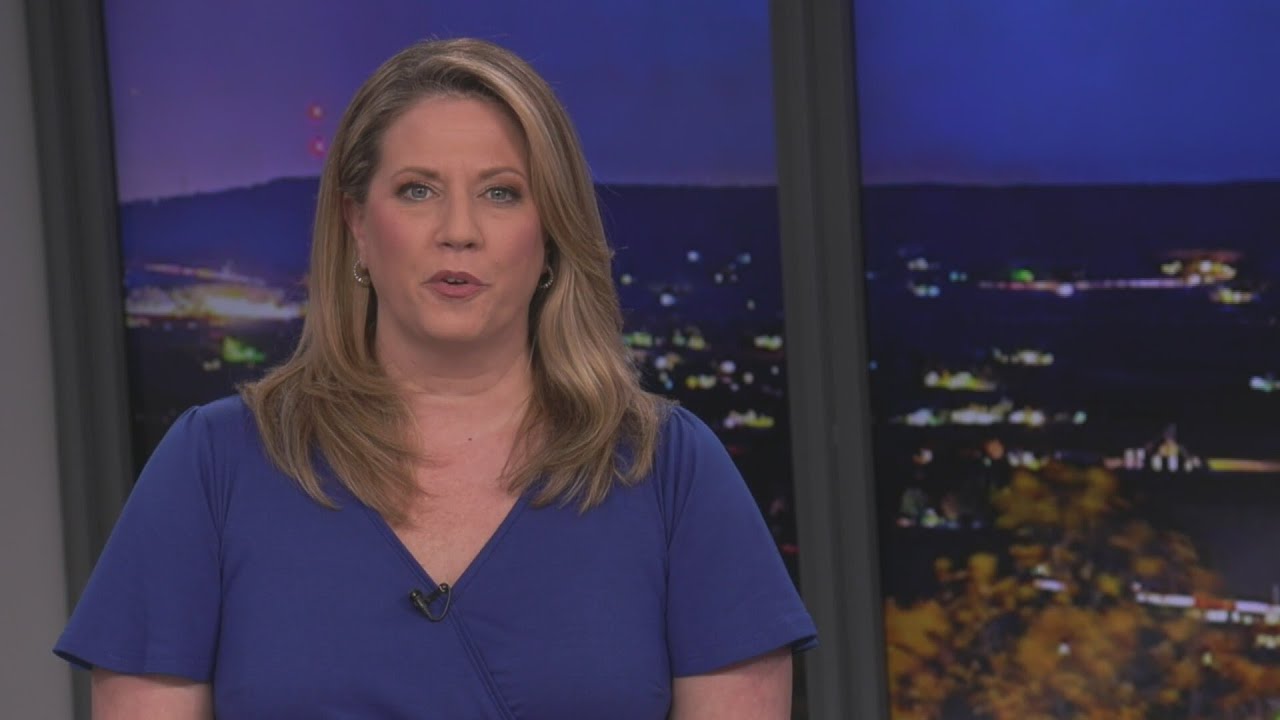 Paige Cognetti announces congressional campaign | 28/22 News