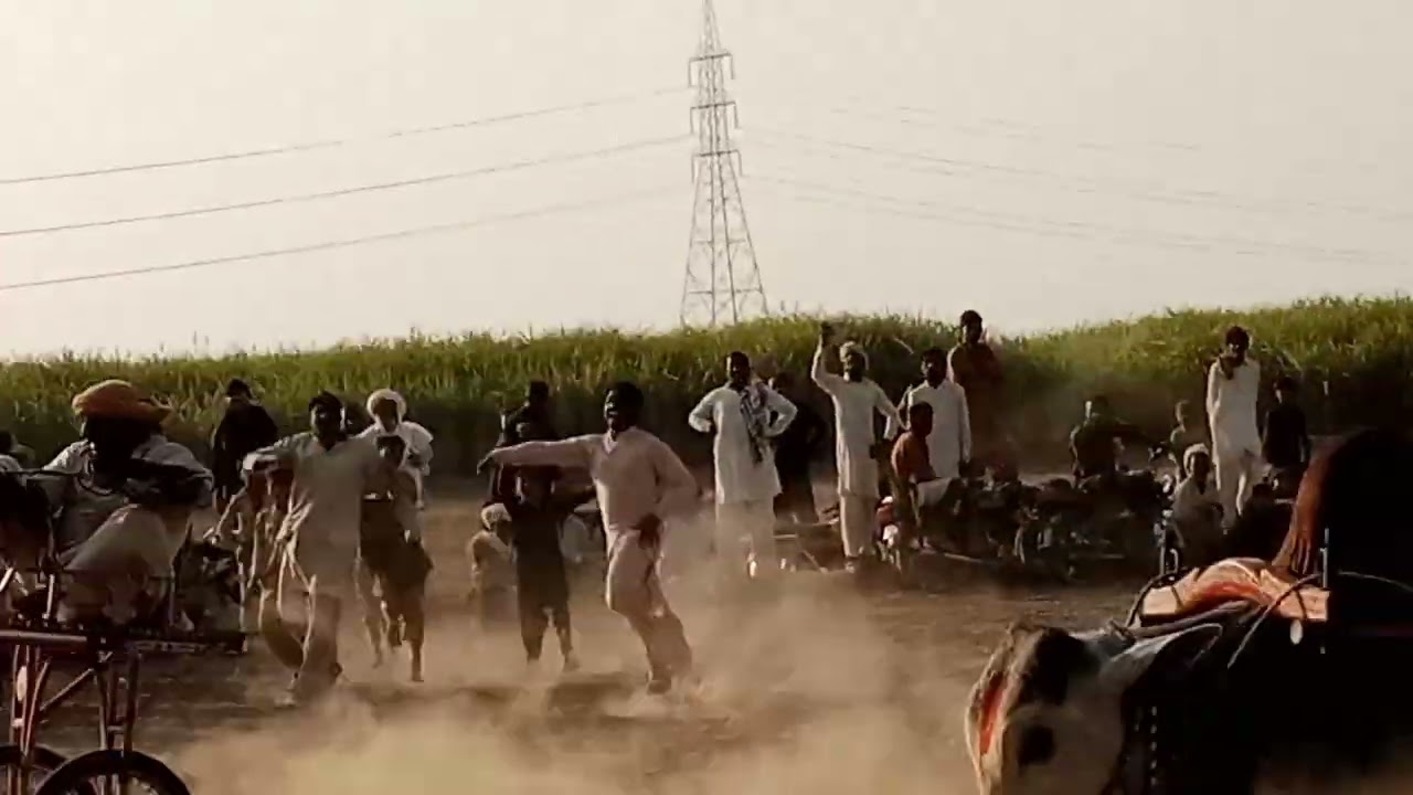 Bahawalpur mein bailon ka jalsa sabse bada